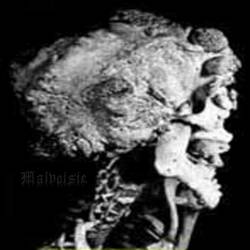 Malvoisie : Sombre Plénitude